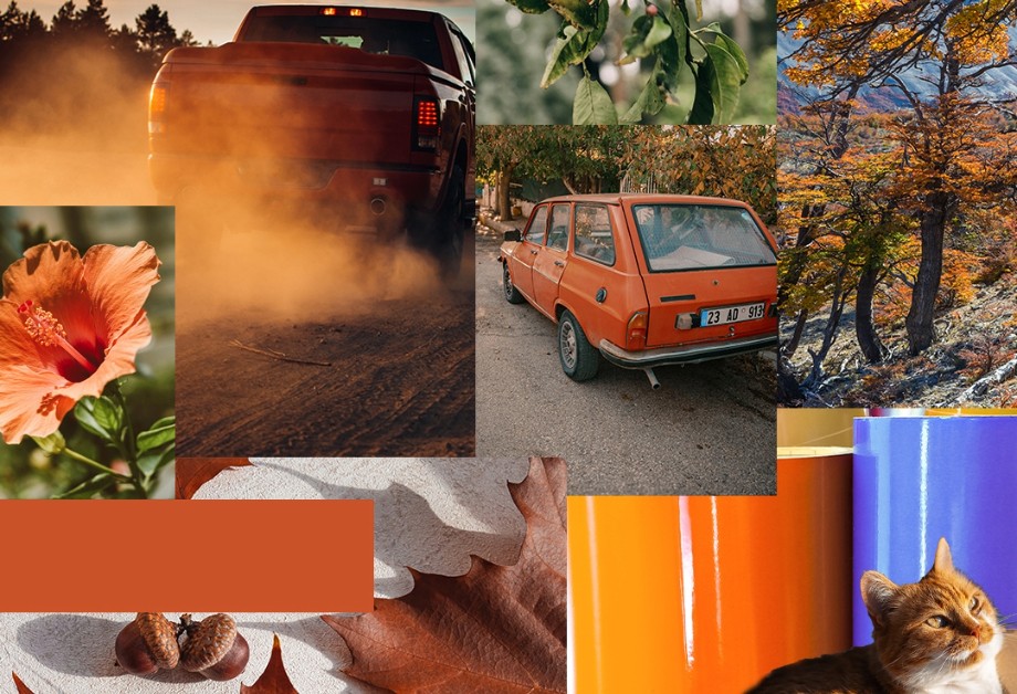 color-match-rust